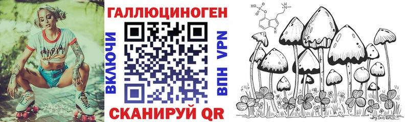Галлюциногенные грибы Cubensis  Купить  Пошехонье 